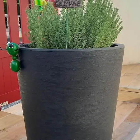 La Pâle Idéalement Situé Au Coeur Des Pyrénées Casa de Férias *