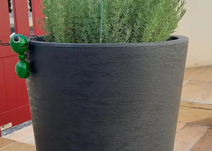 La Pale Idealement Situe Au Coeur Des Pyrenees Σπίτι διακοπών *